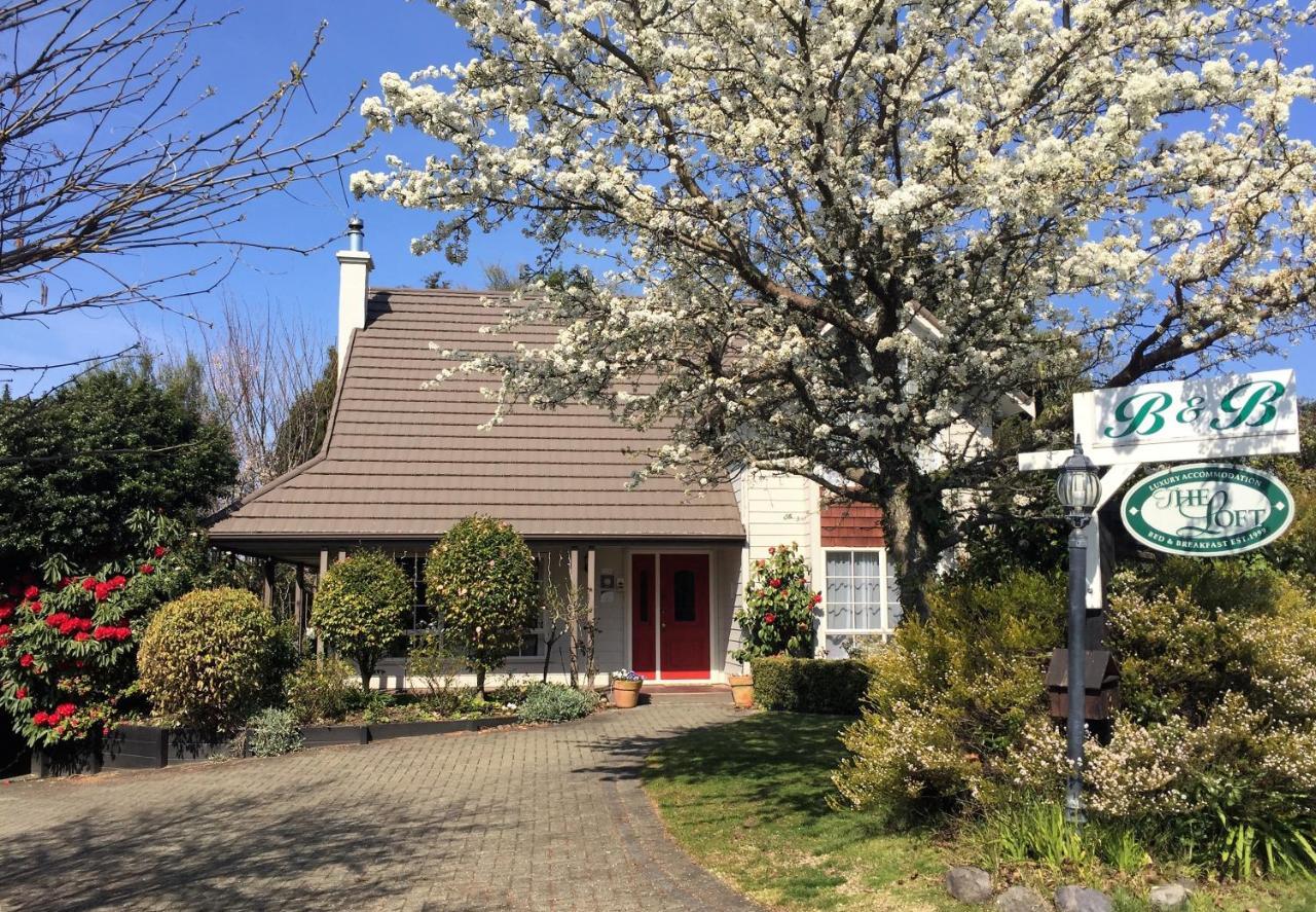 The Loft Bed And Breakfast Taupo Ngoại thất bức ảnh